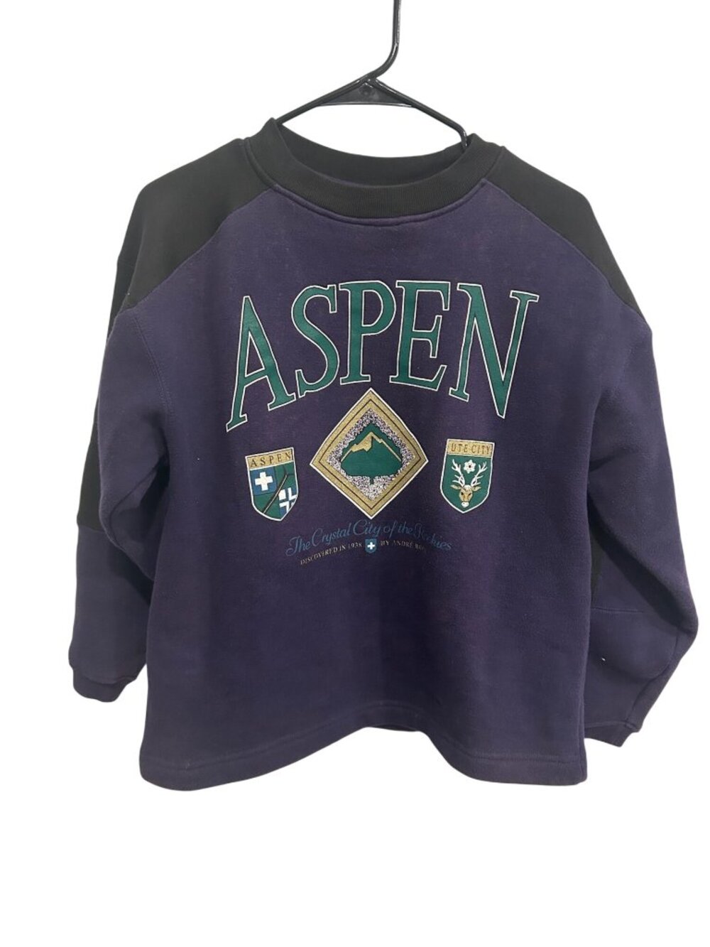 Galt Sand Vintage Aspen Raglan Sleeve Sweatshirt Size Large Gorpcore Streetwear